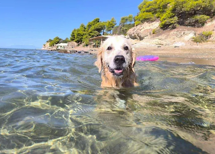 Seahouse With View *